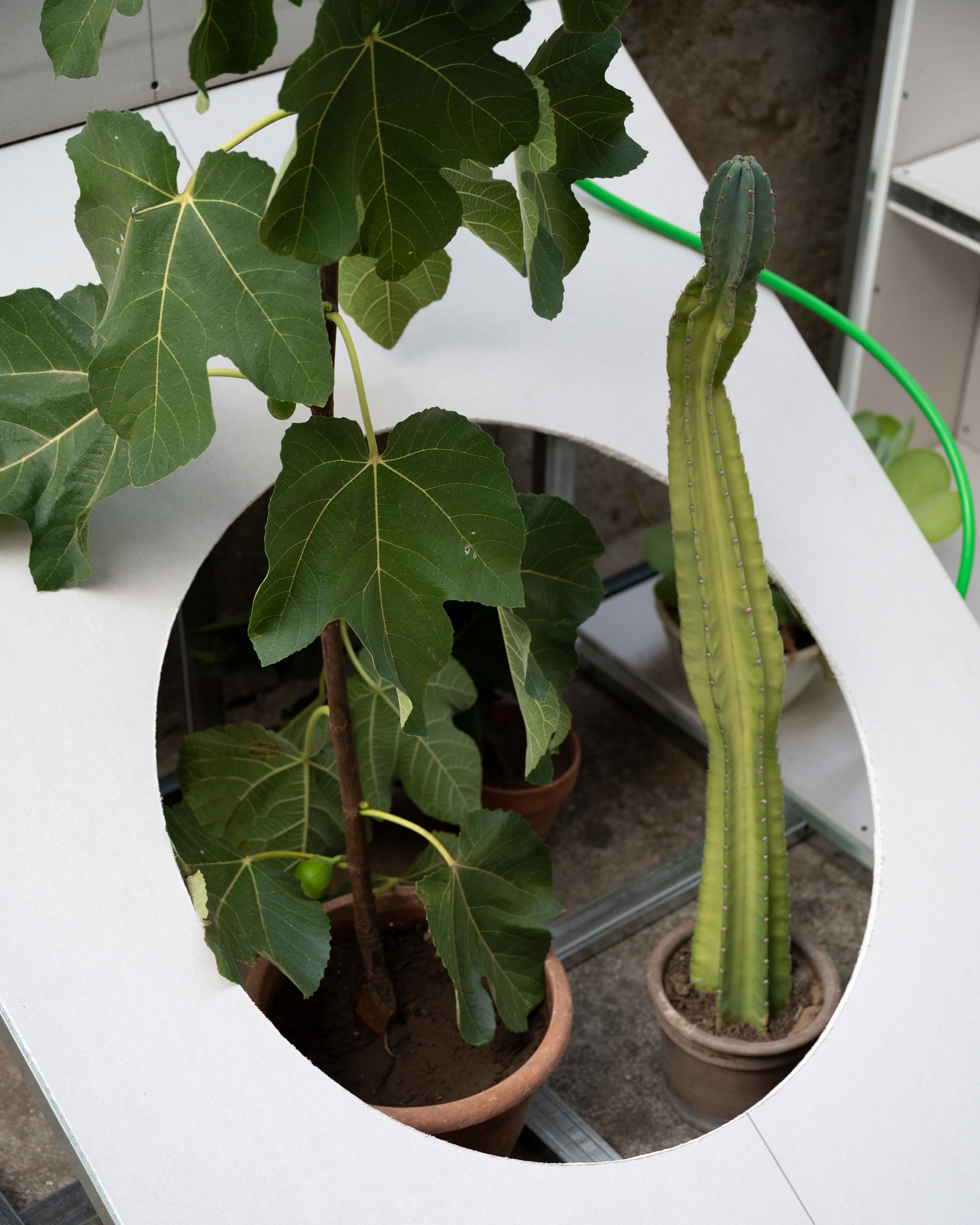 Image 5 of OOO - OUT OF OFFICE