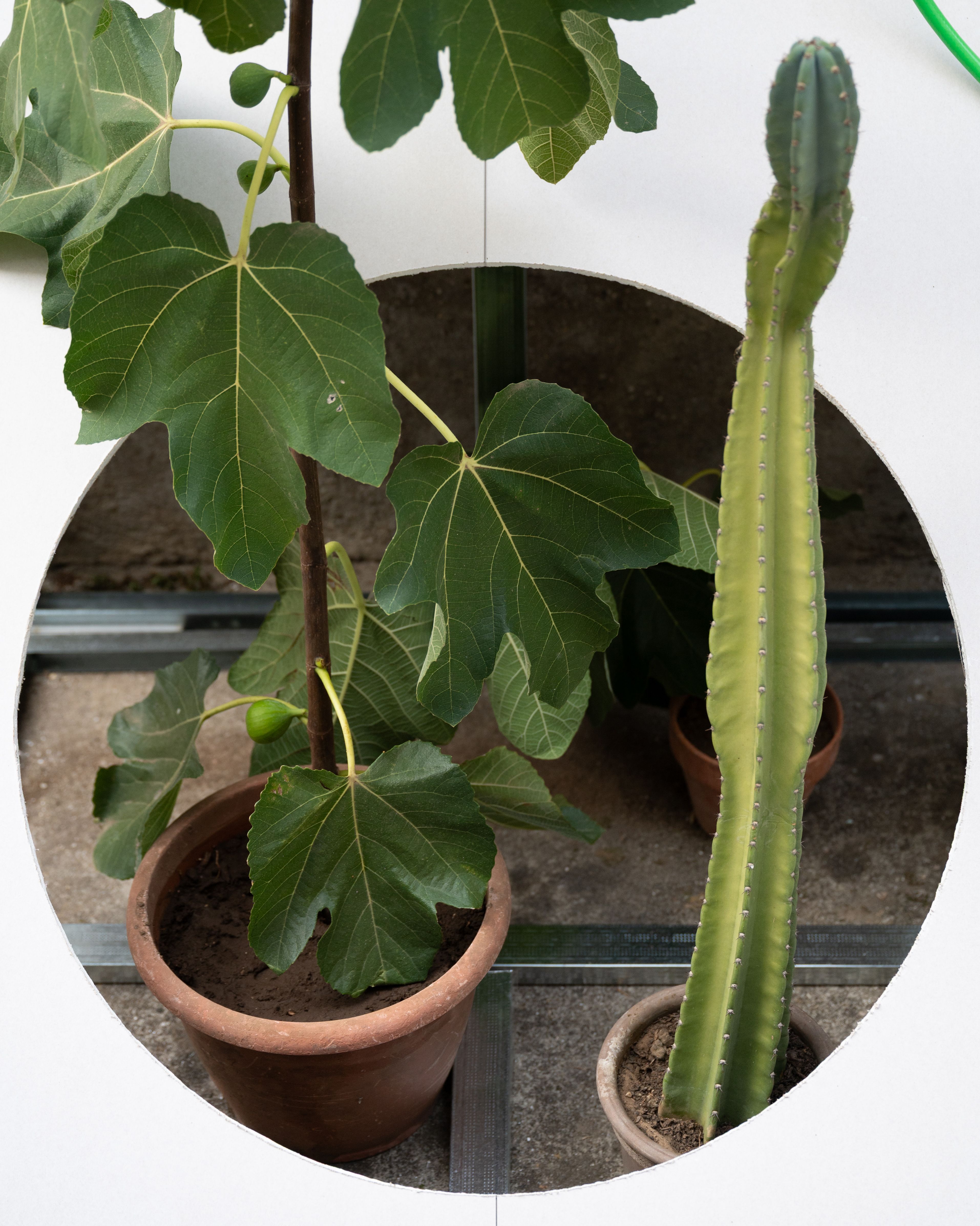 Image 3 of OOO - OUT OF OFFICE