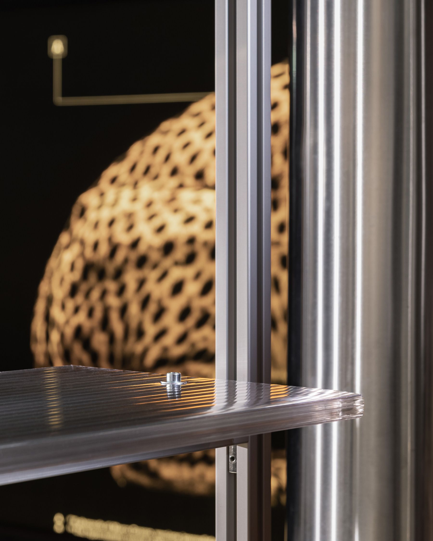 Image 6 of WILD BY DESIGN @ ADI DESIGN MUSEUM