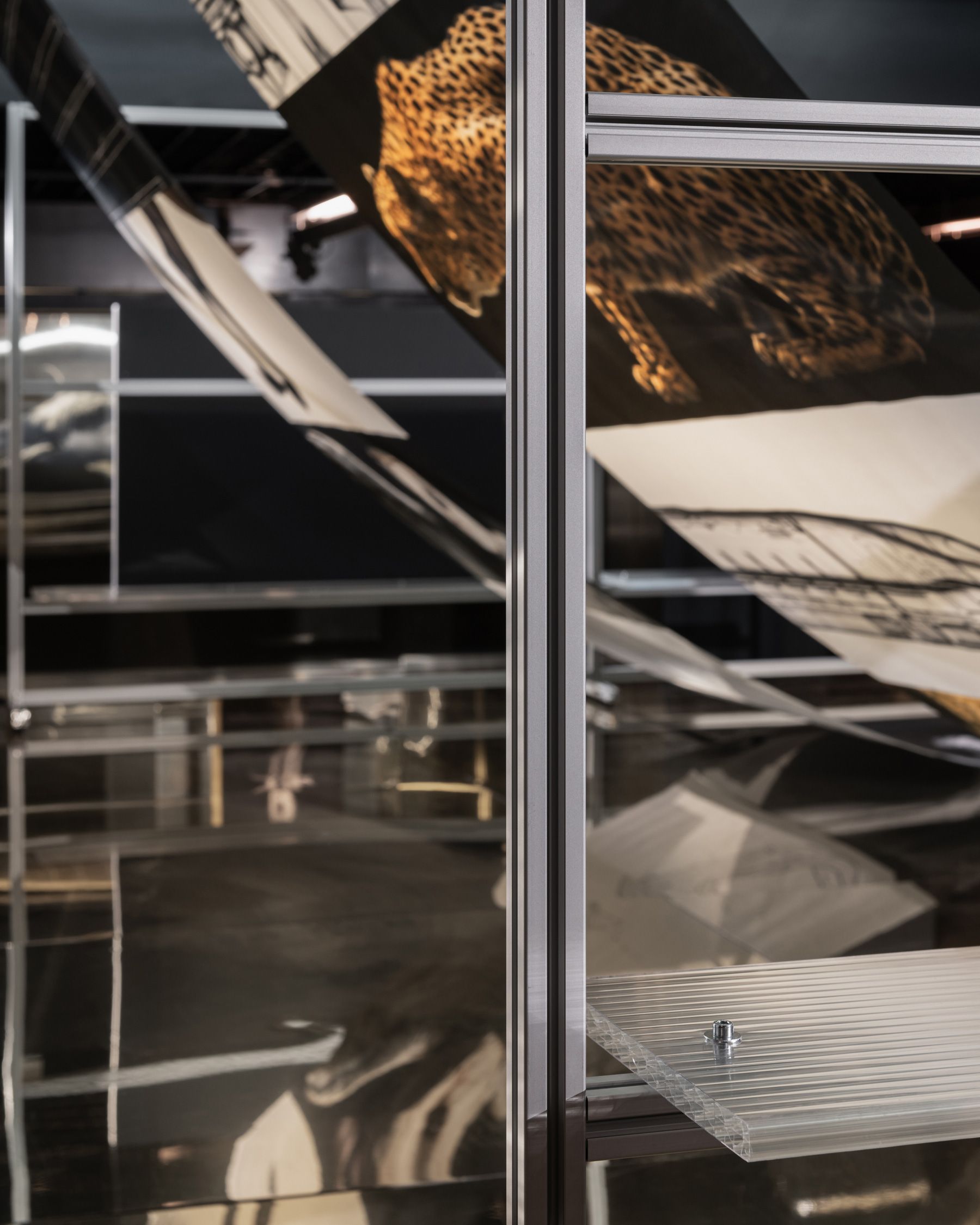 Image 3 of WILD BY DESIGN @ ADI DESIGN MUSEUM