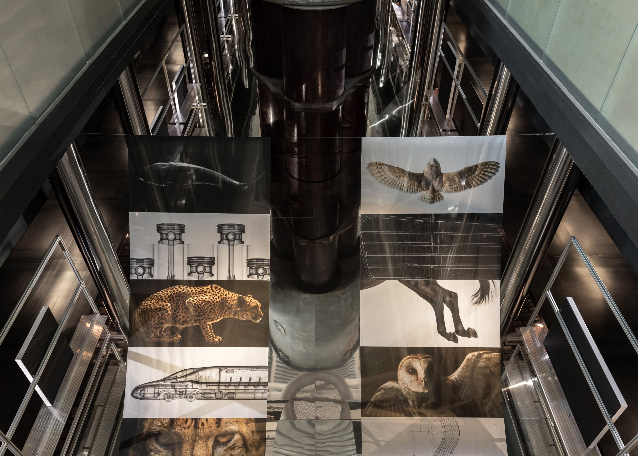 Image 10 of WILD BY DESIGN @ ADI DESIGN MUSEUM